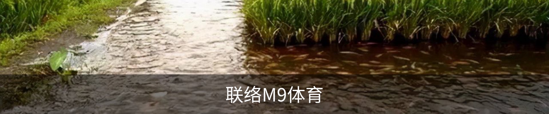 联络M9体育
